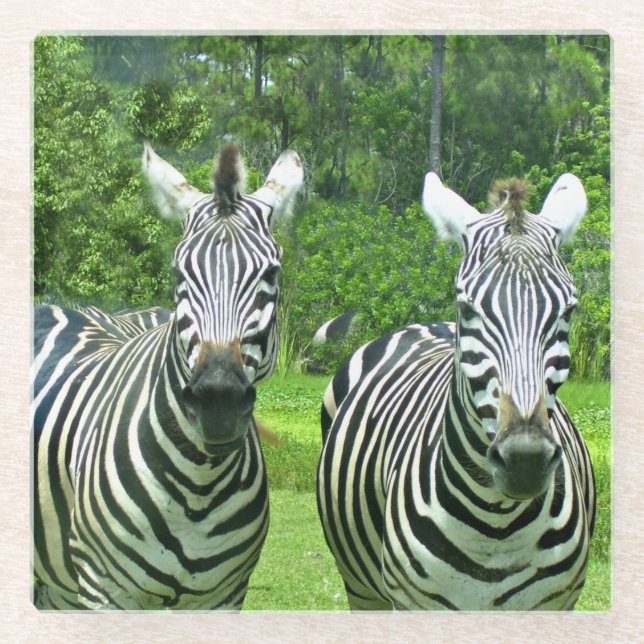 2 süße Zebras Glasuntersetzer (Vorderseite)