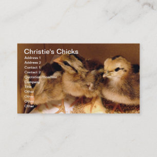 2-Tage-Chicks, Christie's Chicks Visitenkarte