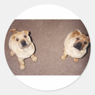 2 tan Shar-Pei_puppies.png Runder Aufkleber