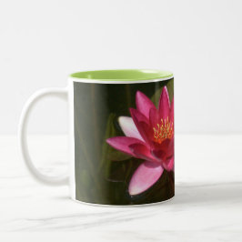 2 TONIERTE TASSE, " PINK LOTUS BLOSSOM" ZWEIFARBIGE TASSE