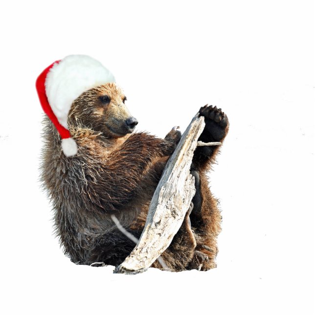 2"" Verzierung des Weihnachtenx3 mit Fotoskulptur Ornament (Vorne)