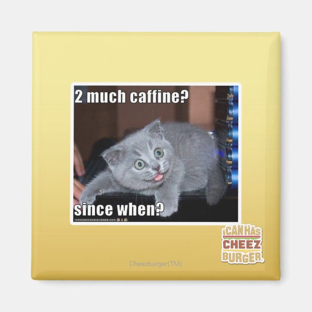 2 viel Caffine? Magnet (Vorne)