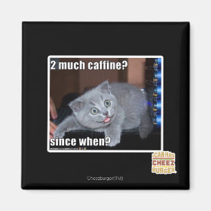 2 viel caffine? magnet