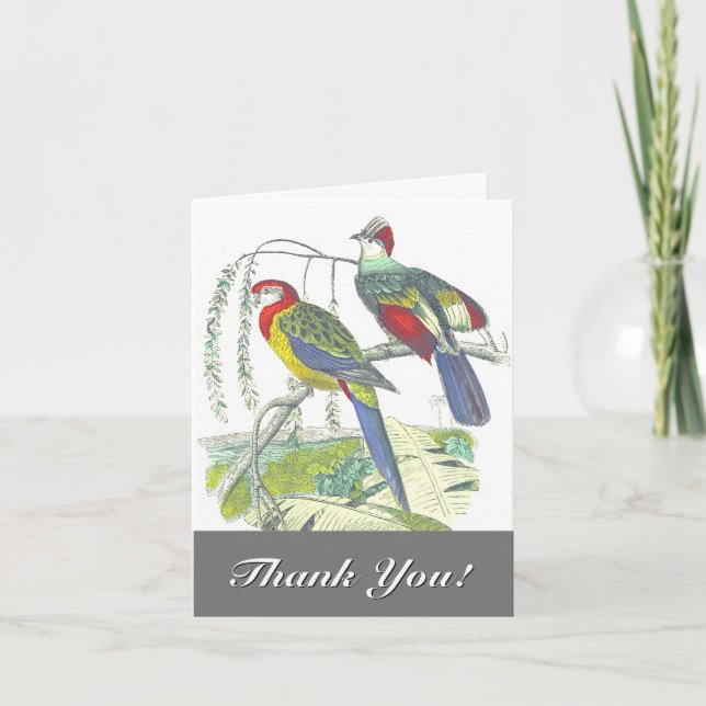 2 Vögel auf einem Zweig, "Danke!" Karte (Vorderseite)
