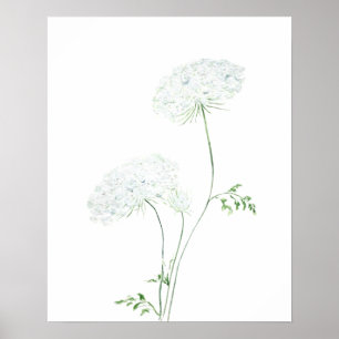 2 weiße Queen Ann Lace Aquarellmalerei Poster