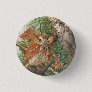 2 wütende Vintage Eule in einem Baum Button