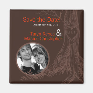 2"x2" Sichern Sie den ersten Carvi des Magnet-Fall Magnet