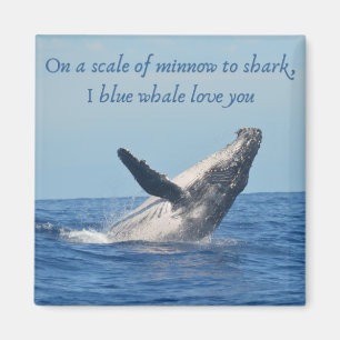 2 Zoll Square Magnet