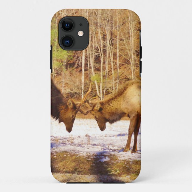 2~ zwei Bull Elk im Schnee Case-Mate iPhone Hülle (Rückseite)
