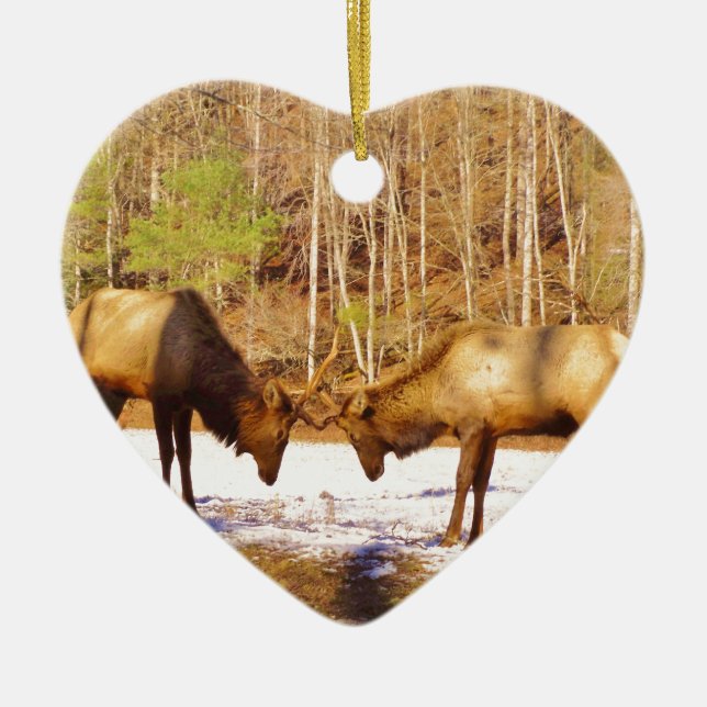 2~ zwei Bull Elk im Schnee Keramik Ornament (Vorne)