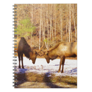 2~ zwei Bull Elk im Schnee Notizblock