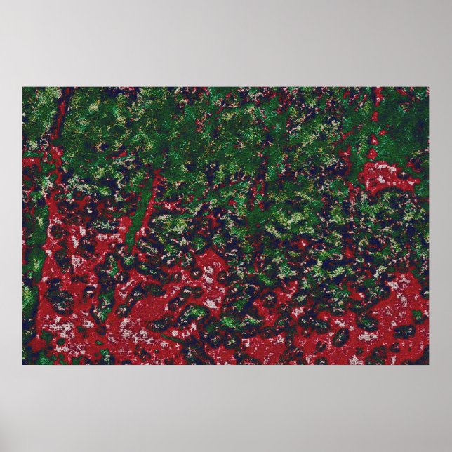 2b004 AUTUMNfoliagedifcanvasartb- Poster (Vorne)