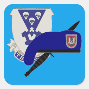 2ND BN 503D INFANTRY 101ST IM FLUGZEUG STICKER