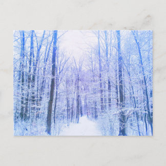 2Winterwaldpostkarte Postkarte