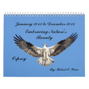 2yr. Deplicting Vögel des Kalenders, die Jan.2013 Kalender