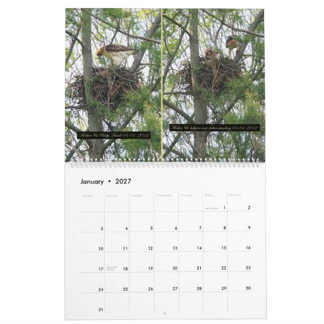 2yr. Kalender-/Falkeentwicklung Robert E. Weiss Kalender (Jan 2027)
