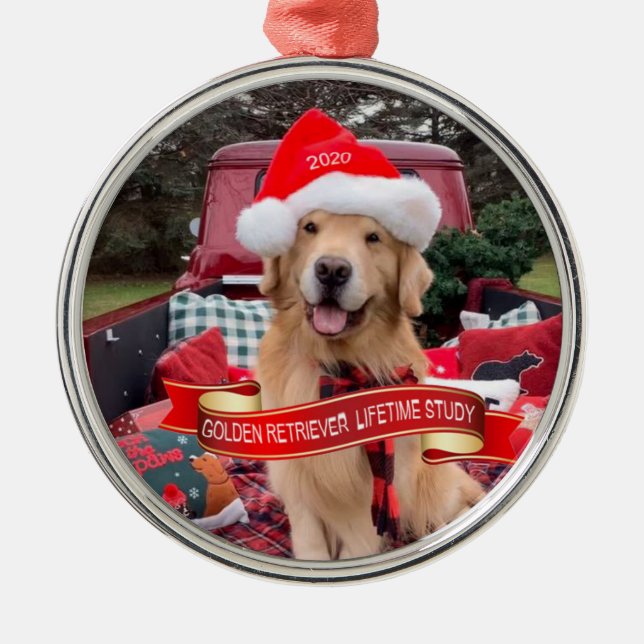 3000 starke 2020 Rundzinndekoration Ornament Aus Metall (Vorne)