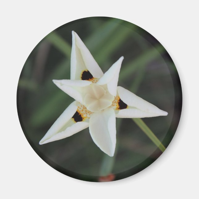 30. April Blume Magnet (Vorne)
