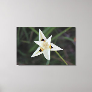 30. April Garden Blume Leinwand
