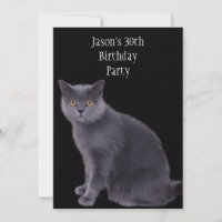30. Geburtstag Party Gray Cat