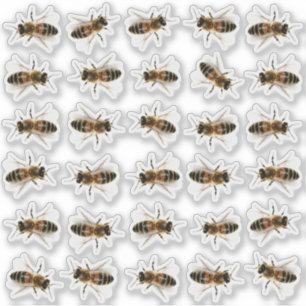 30 lebensgroße Honigbiene Honey Jar Lid Stickers Aufkleber