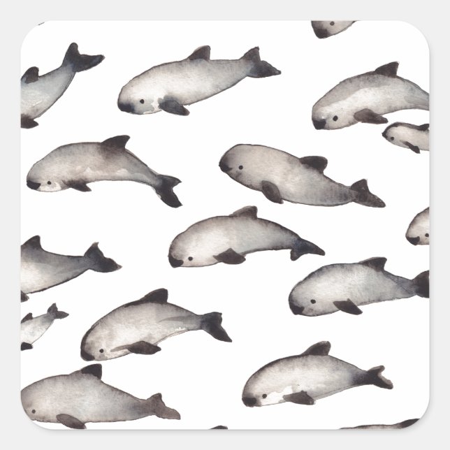 30 Vaquita porpoise dolphin Quadratischer Aufkleber (Vorderseite)