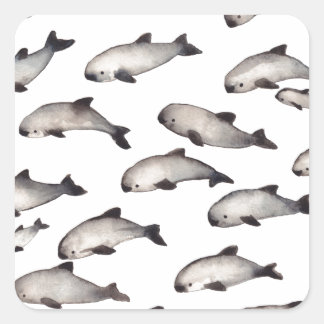 30 Vaquita porpoise dolphin Quadratischer Aufkleber