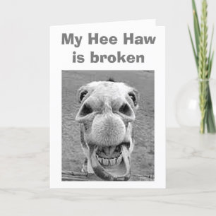 30th BIRTHDAY=BROKEN HEE HAW FÜR DIESEN DONKEY Karte