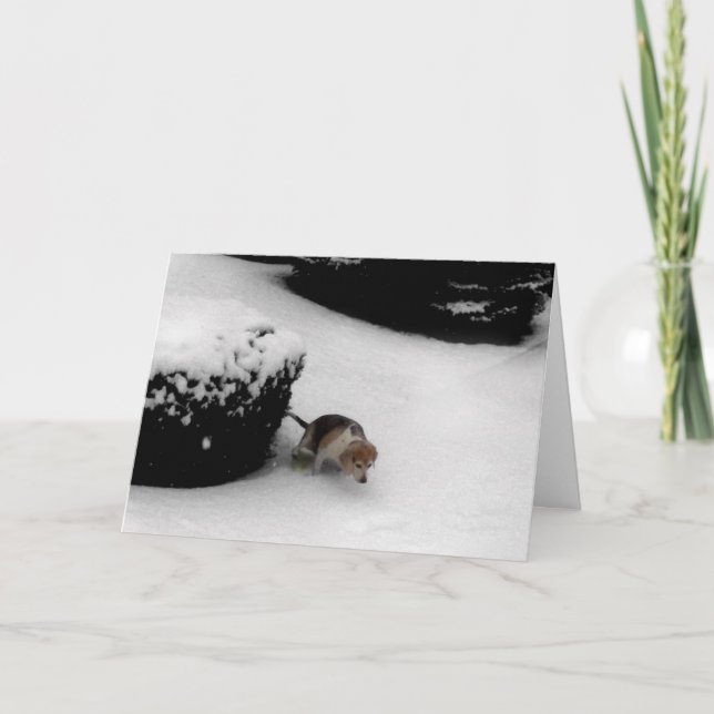 311-Abschluss Congratz Karte (Vorderseite)