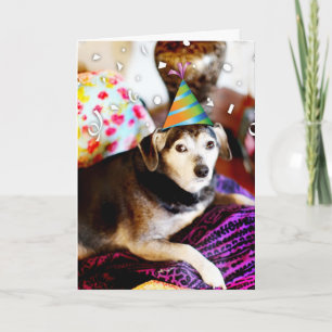 311 Ich habe mich gelohnt! Ich konnte einfach vor  Karte