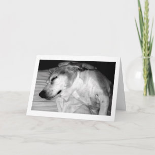 311 Rente Rocks Card Karte