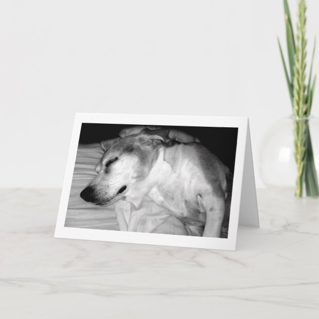 311 Rente Rocks Card Karte (Vorderseite)