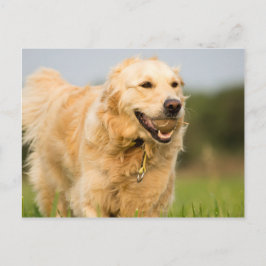 34520685_xxl postkarte