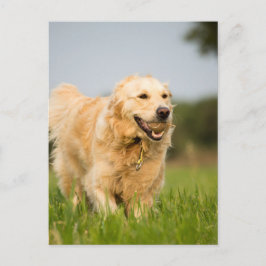 34520685_xxl postkarte