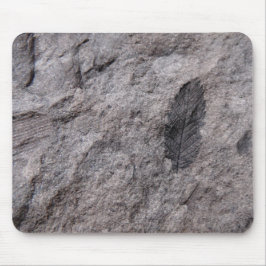 350 Millionen Yr. Alte Pflanze Fossilien Foto druc Mousepad