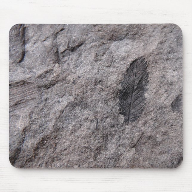 350 Millionen Yr. Alte Pflanze Fossilien Foto druc Mousepad (Vorne)