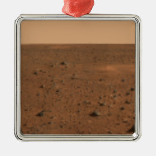 360° Panoramasicht auf die Mars Silbernes Ornament