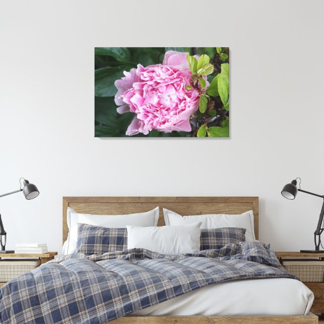 36"x24" Rosa Peony Leinwanddruck (Insitu (Schlafzimmer))