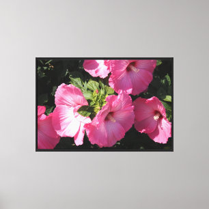 36"x24" wider Hibiskus Leinwanddruck