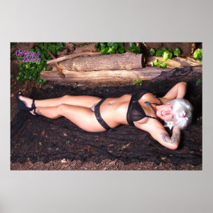 36" x 24" Chrissy Kittens by the Log Poster