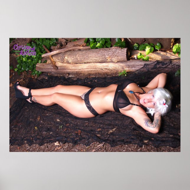 36" x 24" Chrissy Kittens by the Log Poster (Vorne)