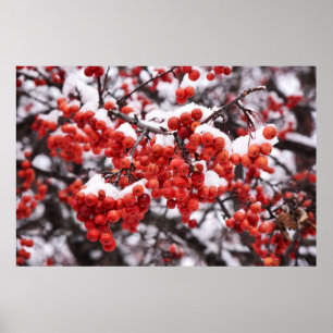 36x24-Wall-Poster Poster