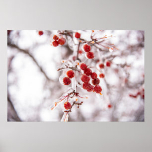 36x24-Wall-Poster Poster