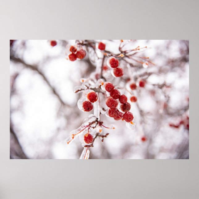 36x24-Wall-Poster Poster (Vorne)