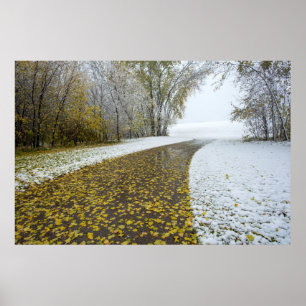 36x24-Wall-Poster Poster