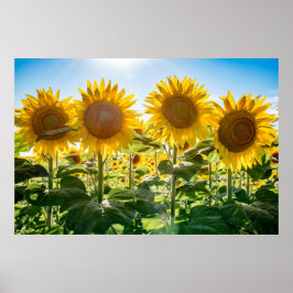 36x24-Wall-Poster Poster