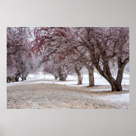 36x24-Wall-Poster Poster