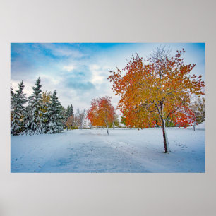36x24-Wall-Poster Poster