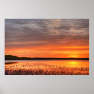 36x24-Wall-Poster Poster