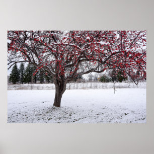 36x24-Wall-Poster Poster